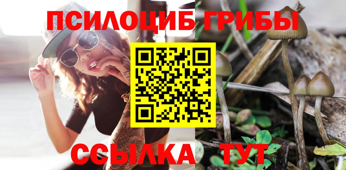 Галлюциногенные грибы мухоморы Ярославль